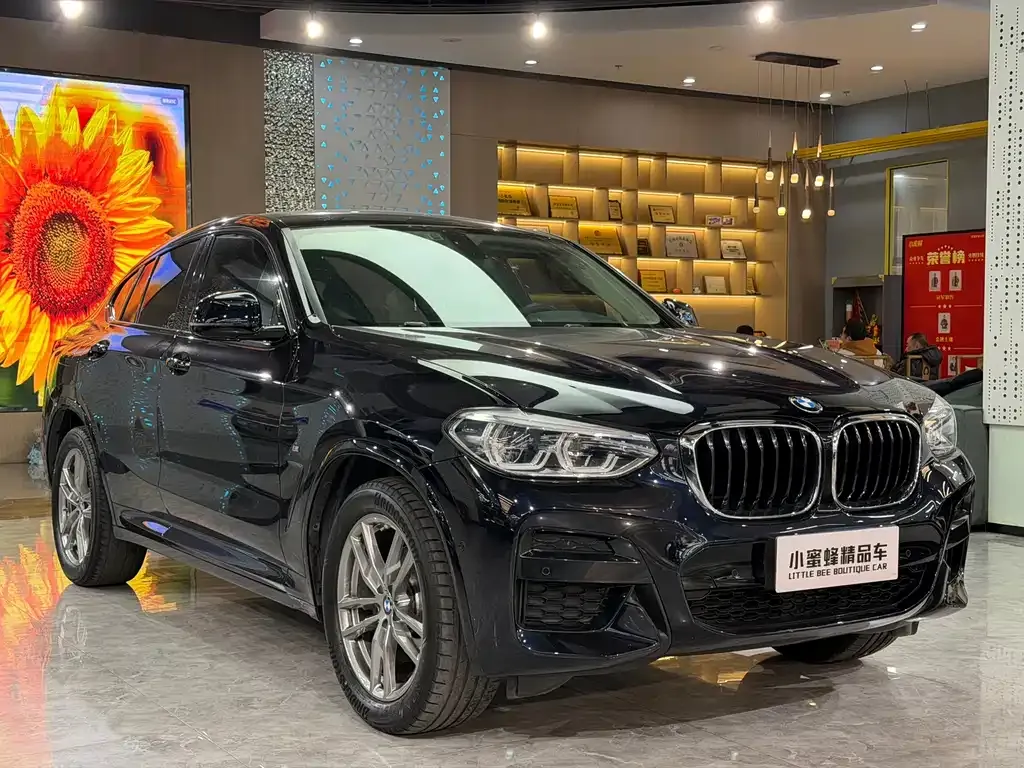 BMW X4 — фото 6