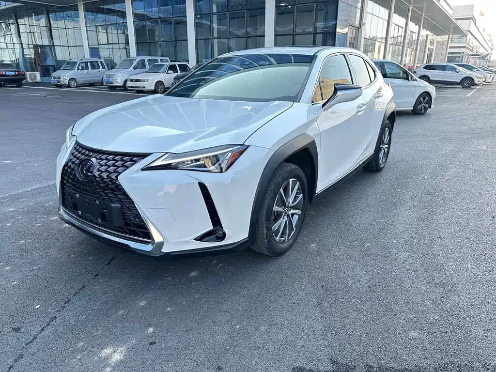 Lexus UX New Energy — фото 1