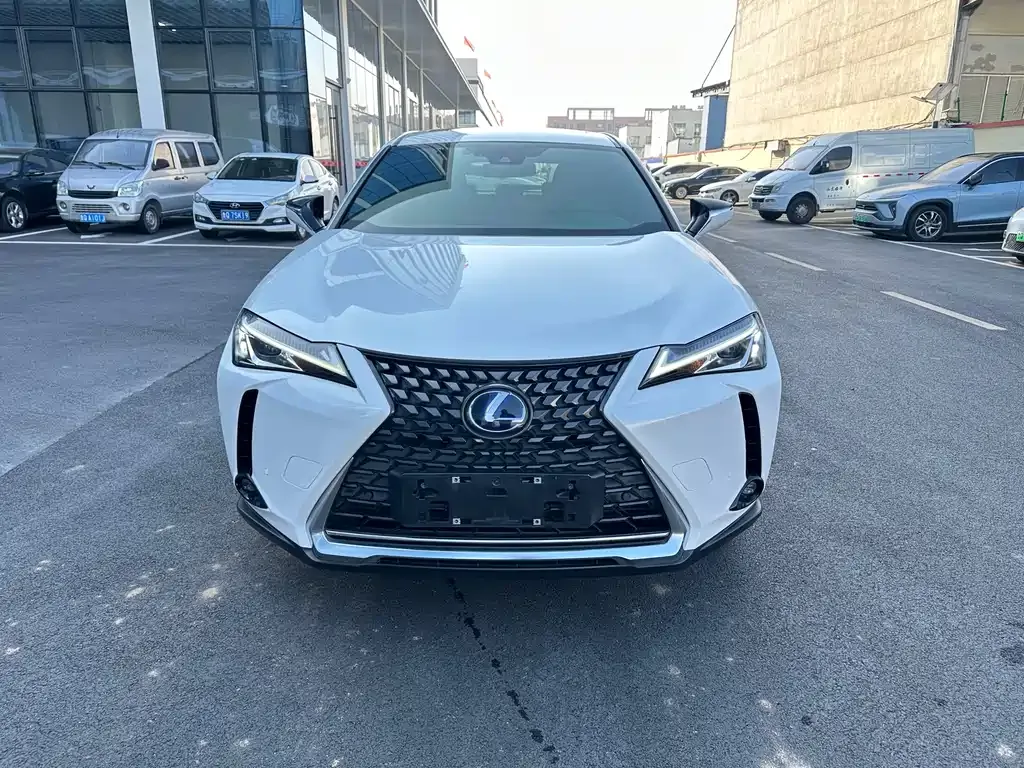 Lexus UX New Energy — фото 10
