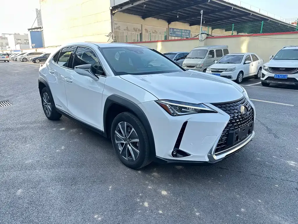 Lexus UX New Energy — фото 4