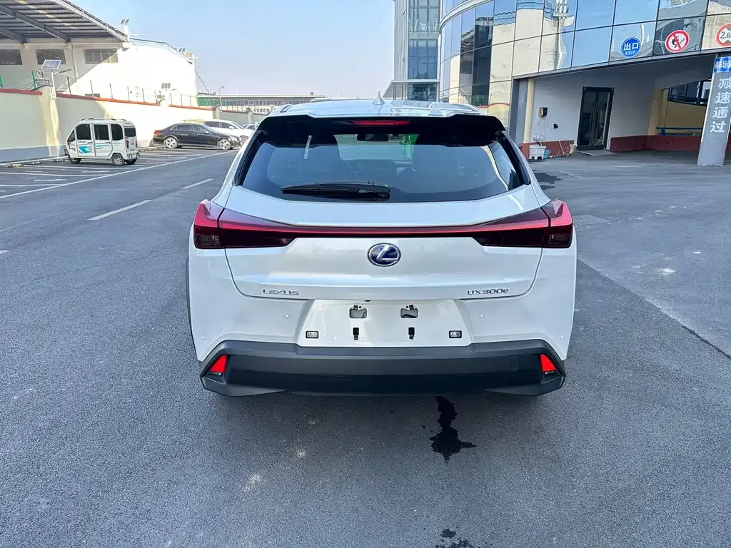 Lexus UX New Energy — фото 8