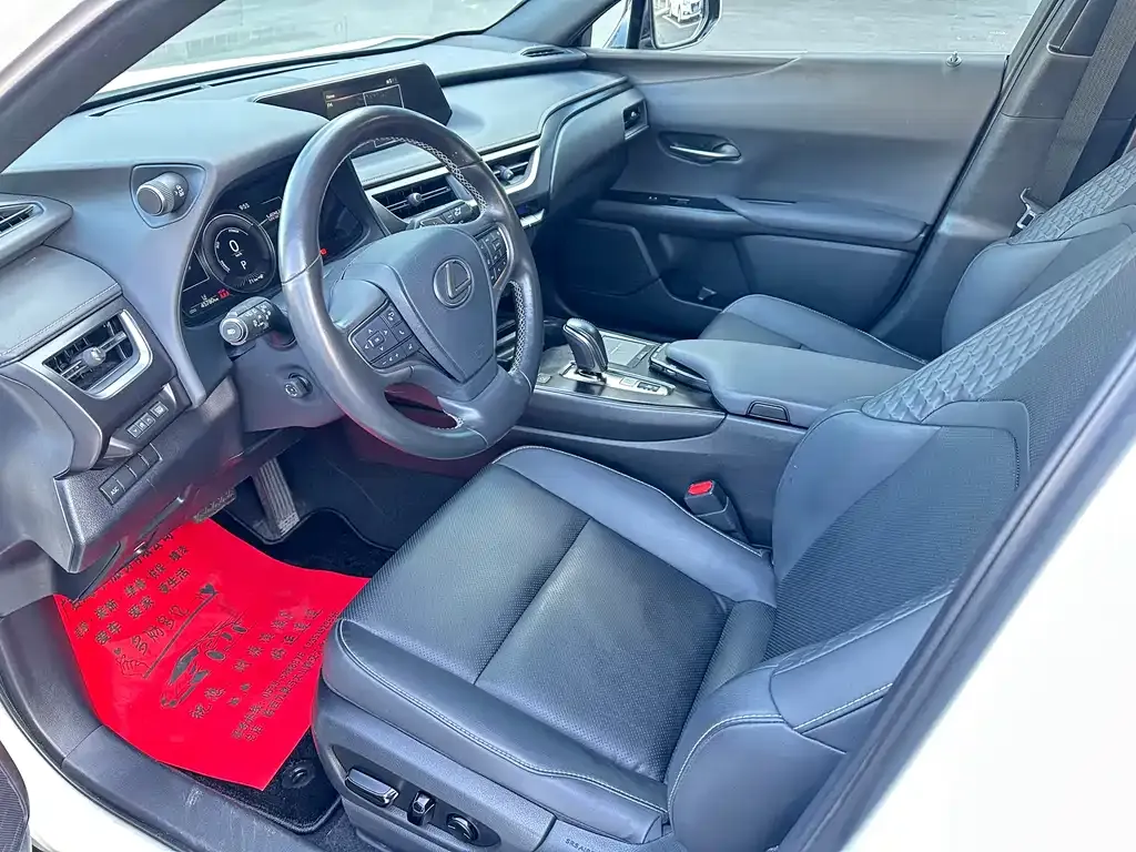 Lexus UX New Energy — фото 9