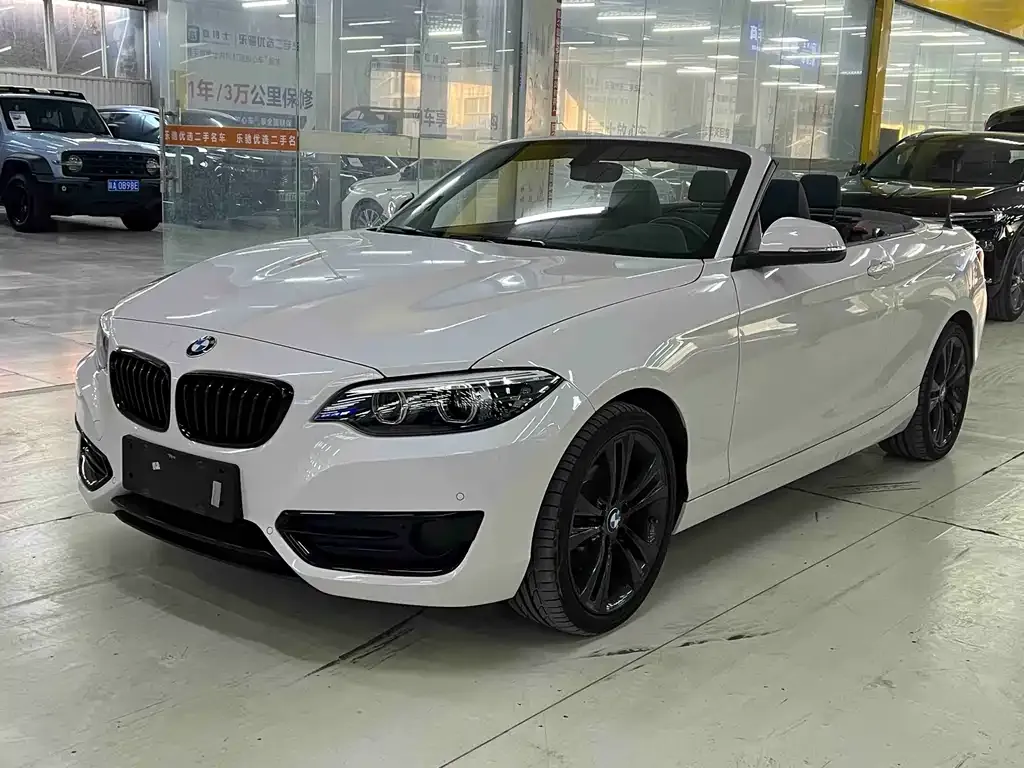 BMW 2 Series (Import) — фото 1