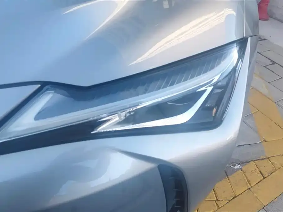 Lexus UX New Energy — фото 7