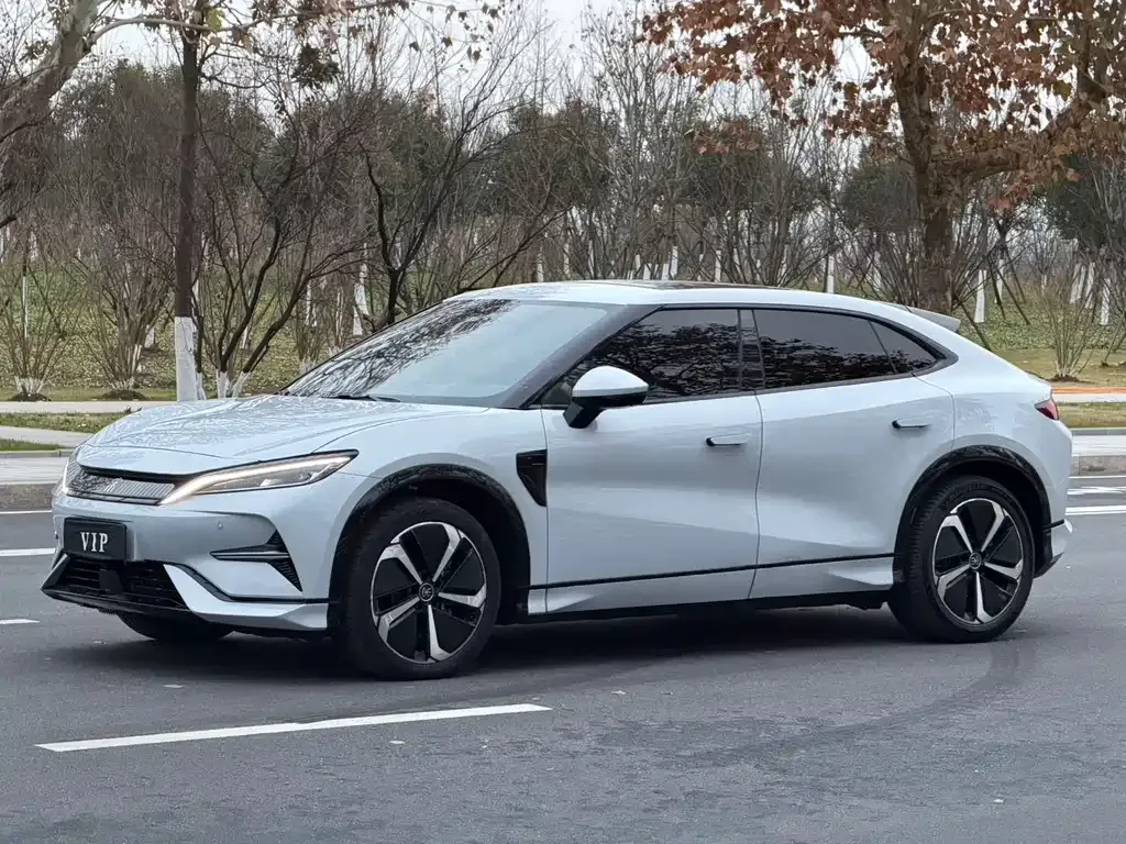 BYD L EV — фото 1