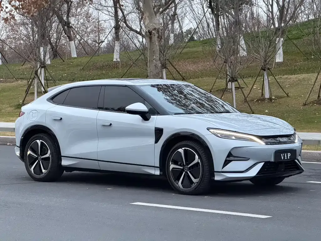 BYD L EV — фото 10