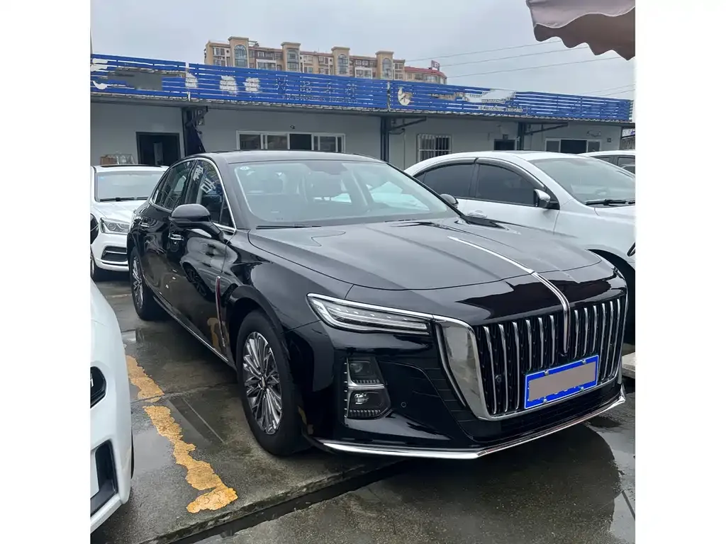 Hongqi H5 — фото 3
