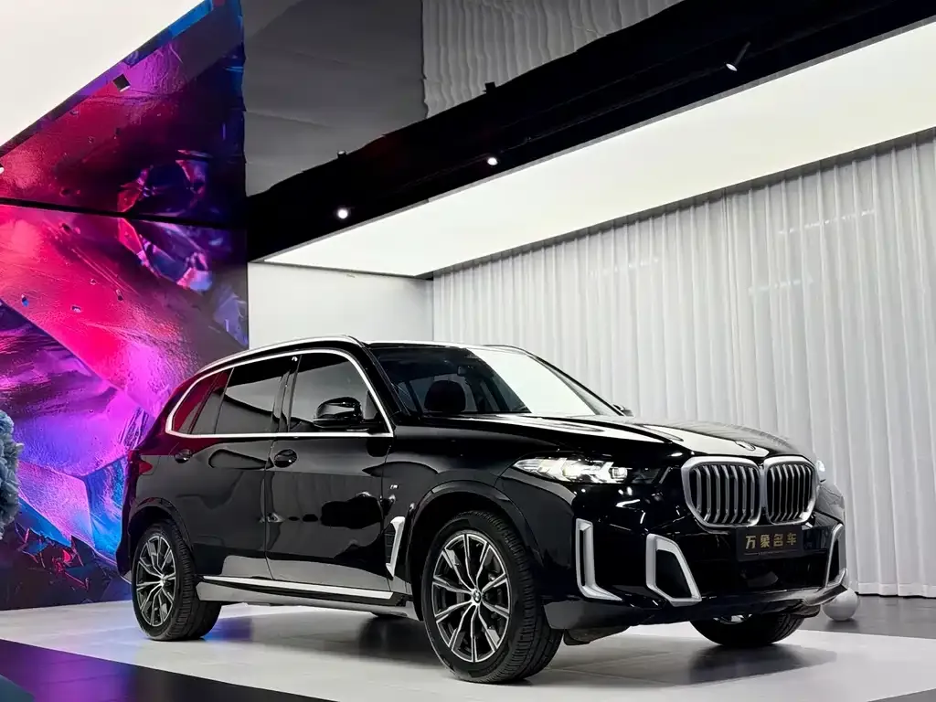 BMW X5 — фото 10