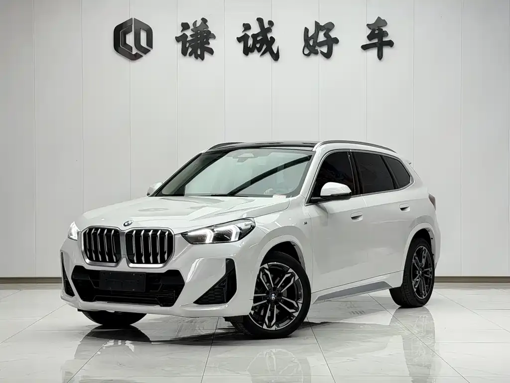 BMW X1 — фото 1