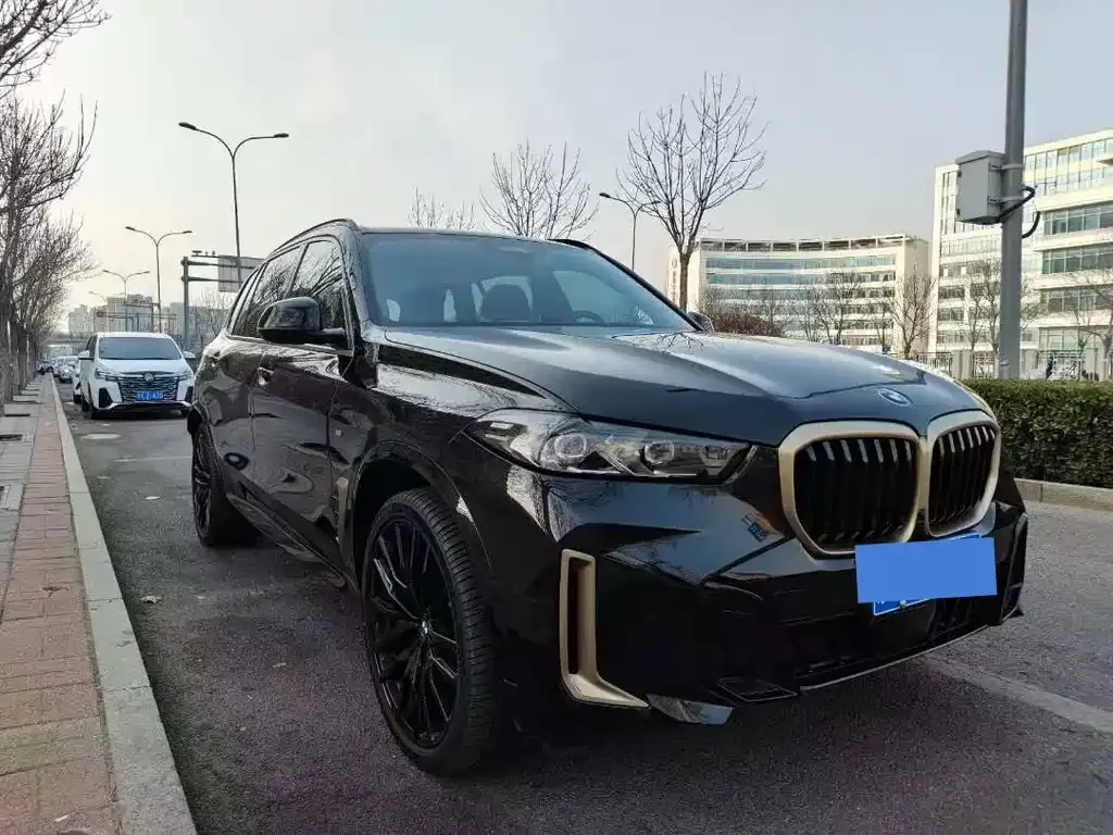 BMW X5 — фото 10
