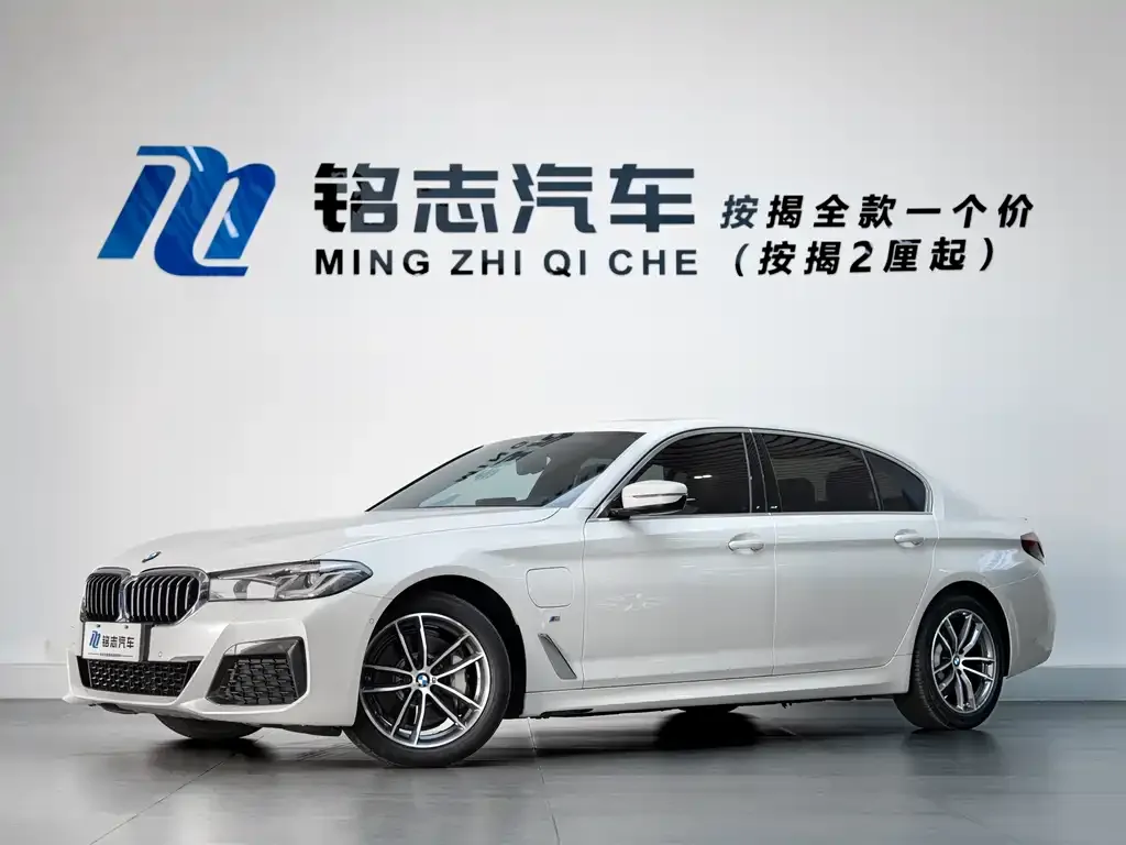 BMW 5 Series New Energy — фото 1