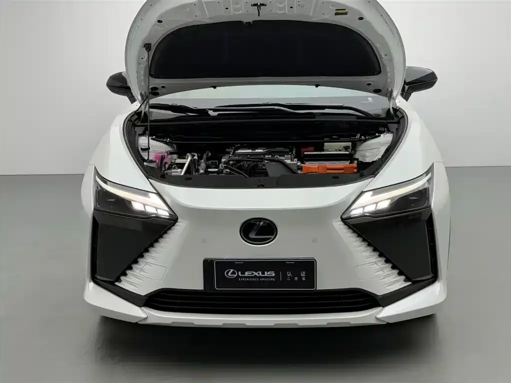 Lexus RZ — фото 3