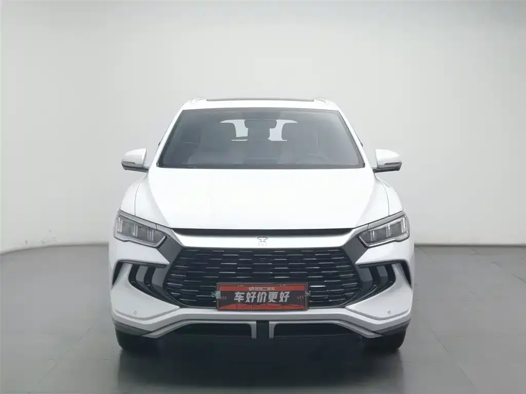 BYD Pro New Energy — фото 7