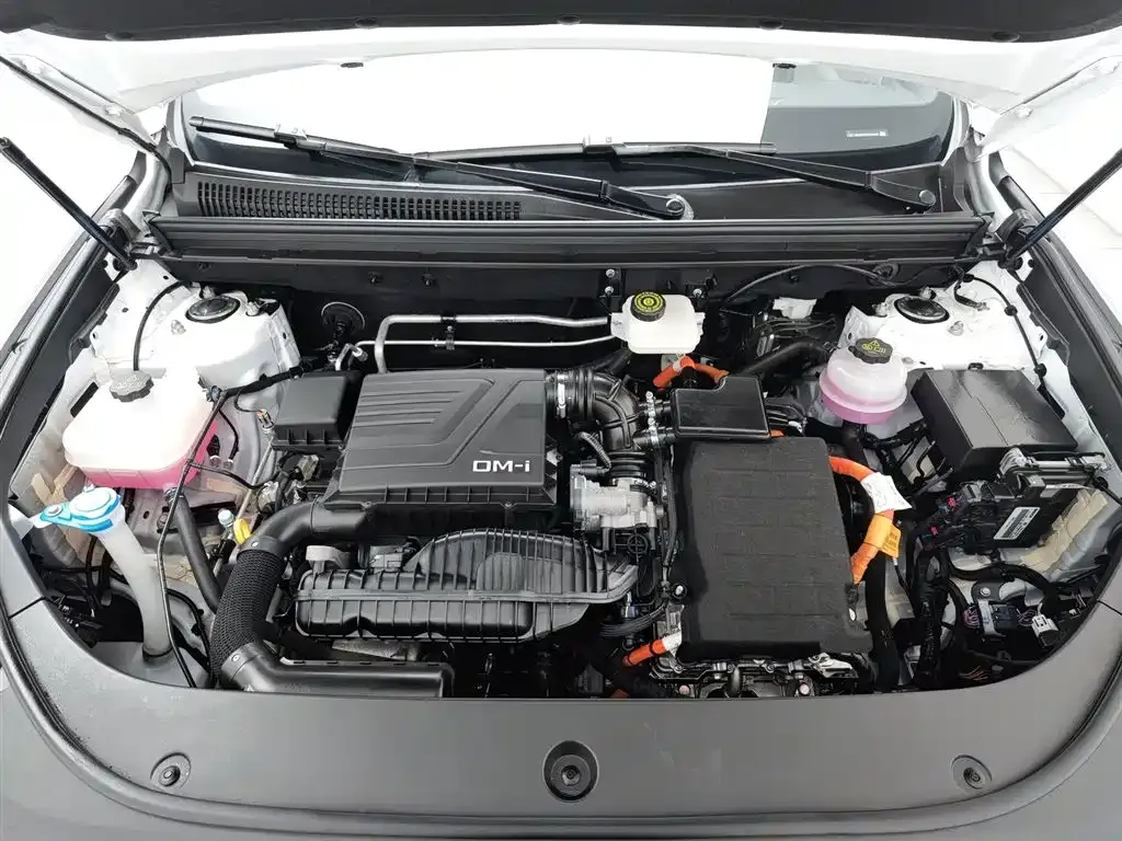 BYD Pro New Energy — фото 10