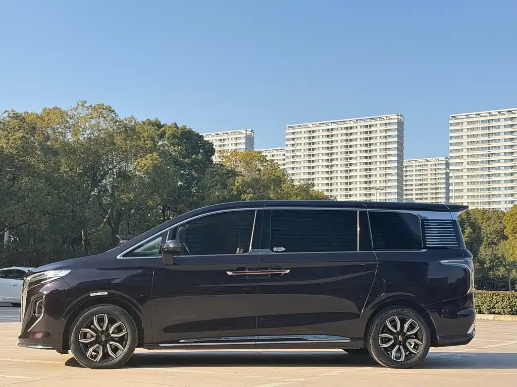 Hongqi HQ9 — фото 3