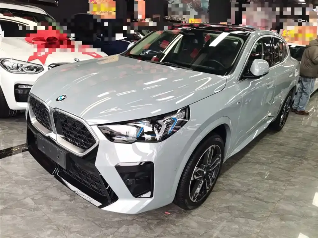 BMW X2 (Import) — фото 1