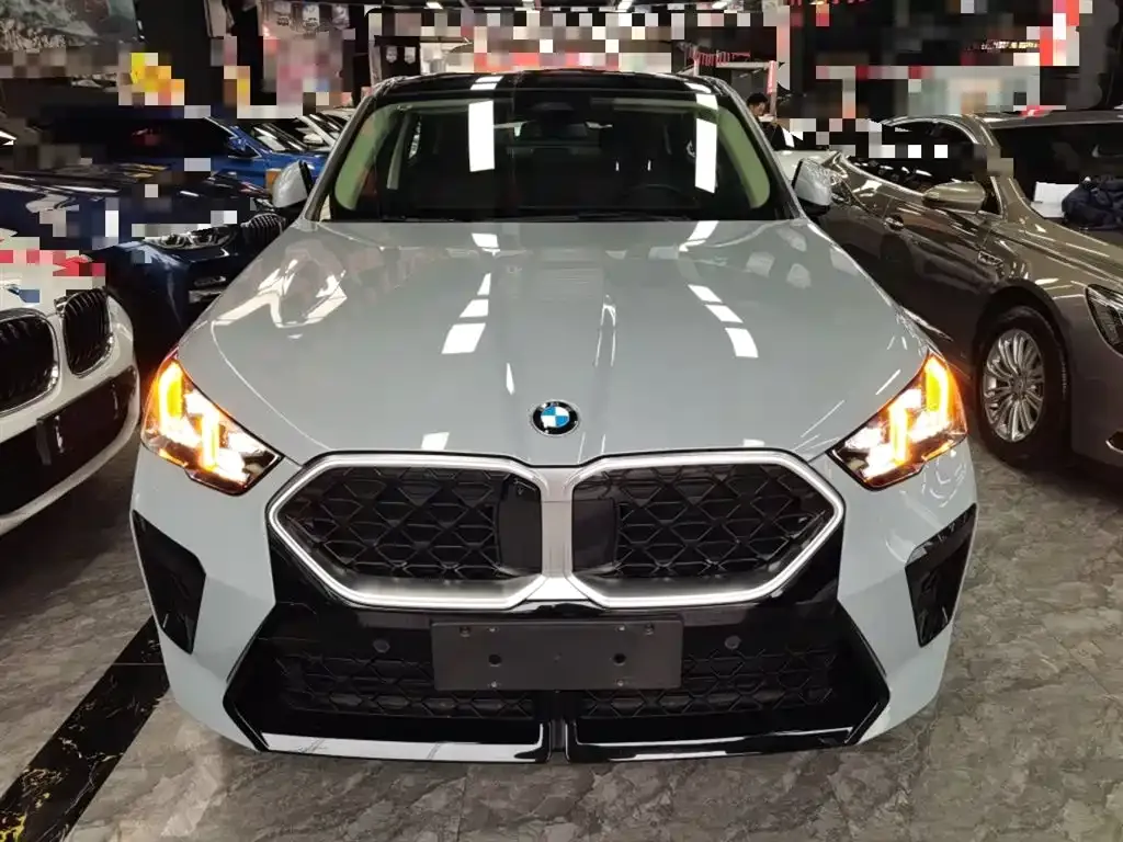 BMW X2 (Import) — фото 8