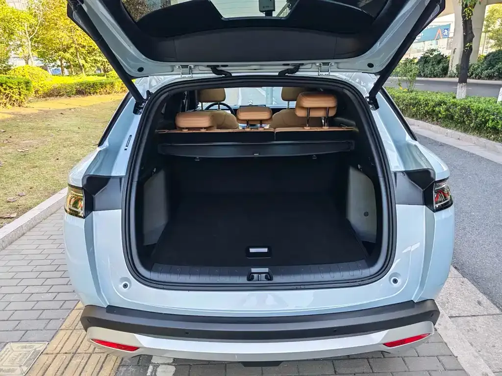 BYD L DM-i — фото 9
