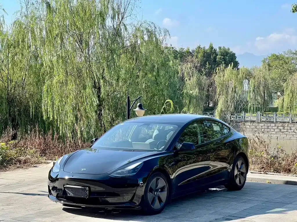 Tesla Model 3 — фото 1