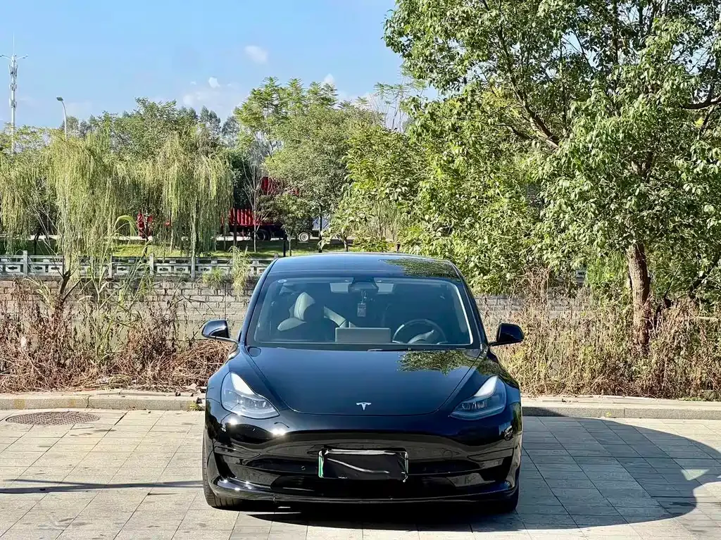 Tesla Model 3 — фото 2