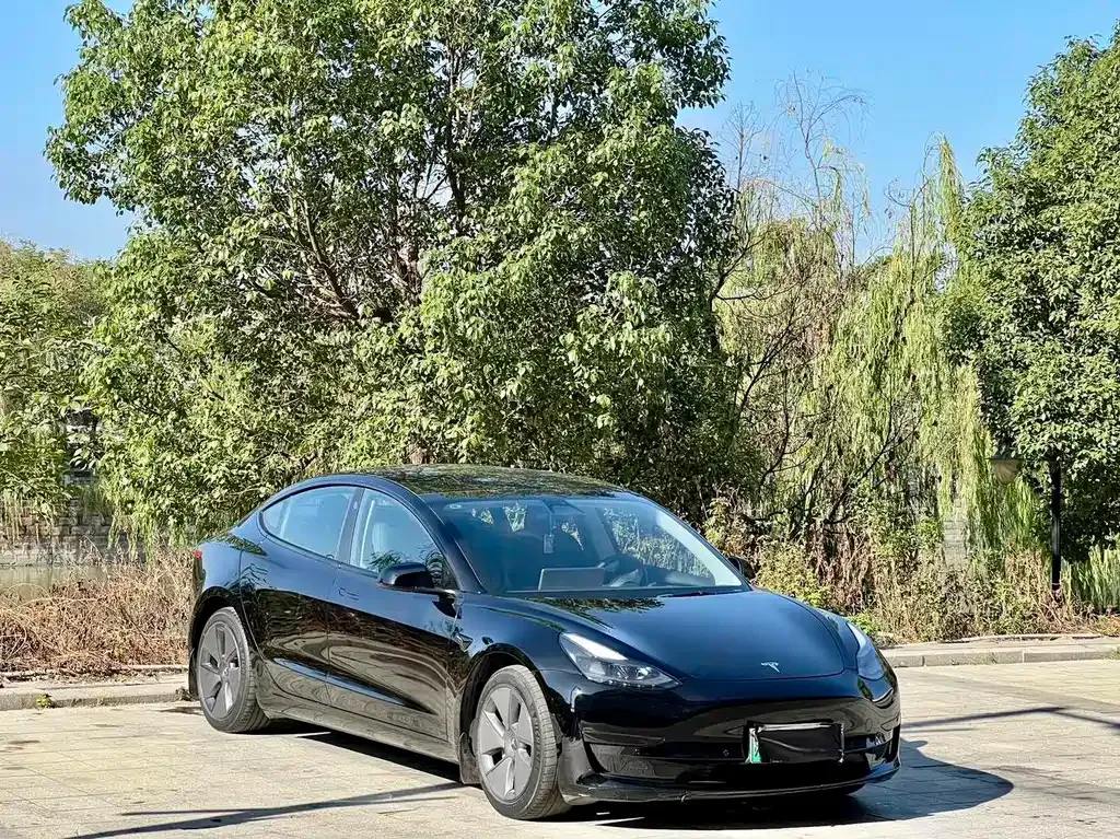 Tesla Model 3 — фото 3