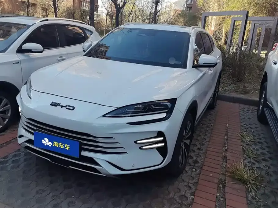 BYD PLUS New Energy — фото 1