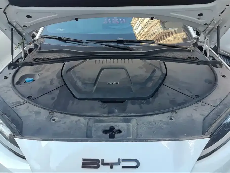 BYD PLUS New Energy — фото 10