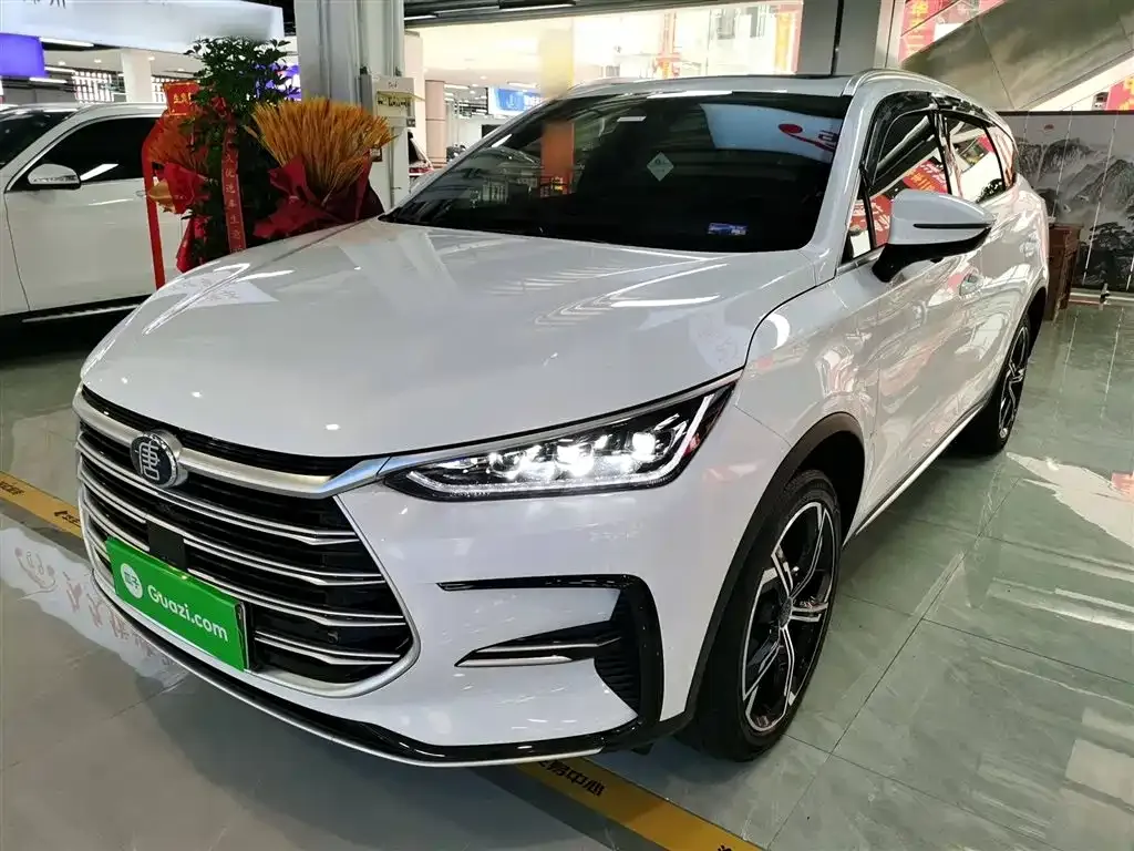 BYD Tang New Energy — фото 2