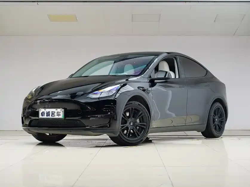 Tesla Model Y — фото 1