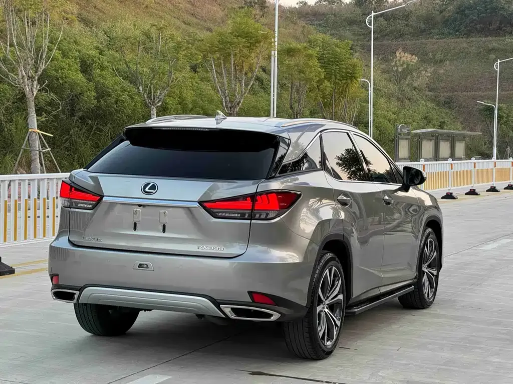 Lexus RX — фото 8