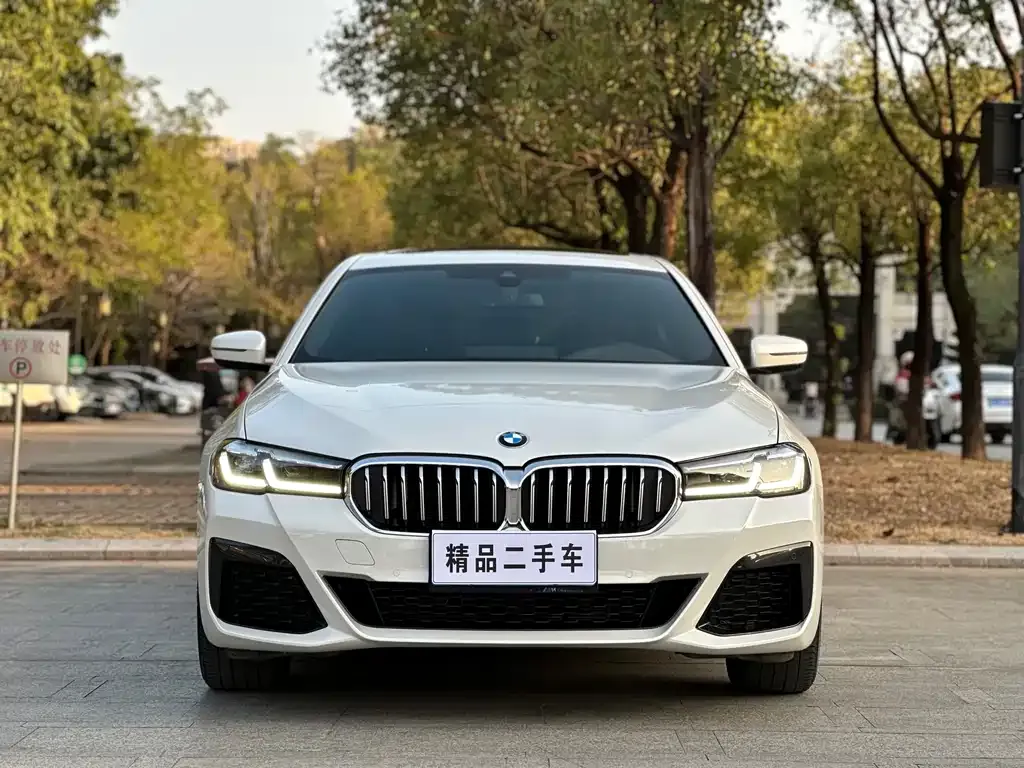 BMW 5 Series — фото 5