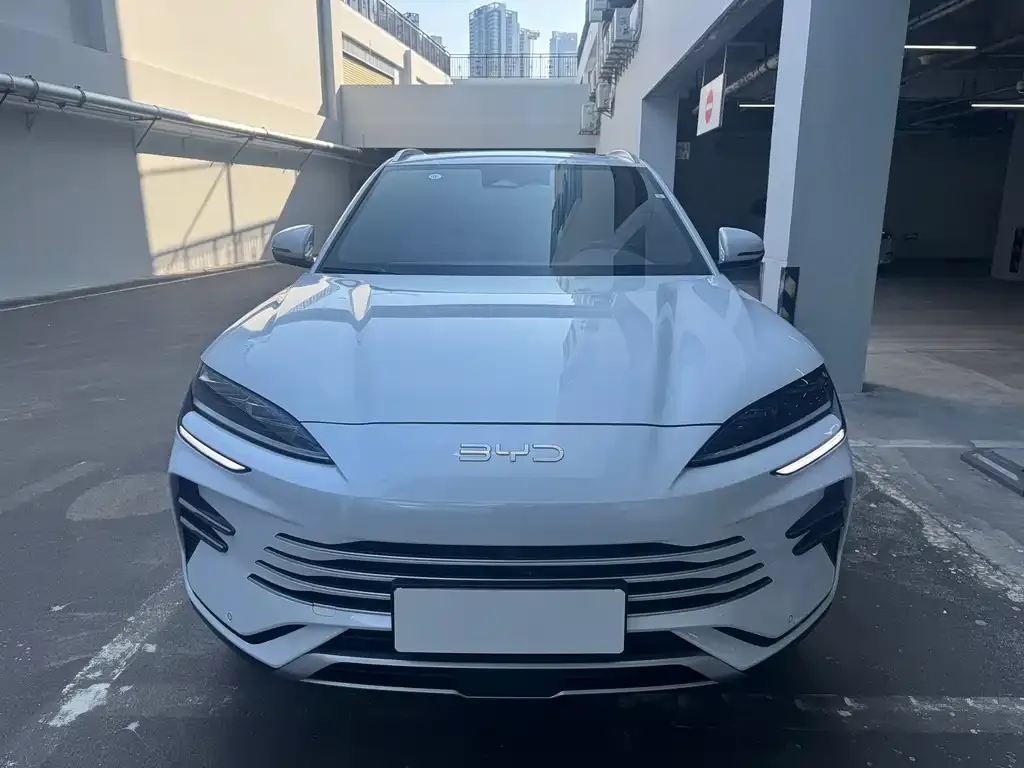 BYD PLUS New Energy — фото 4
