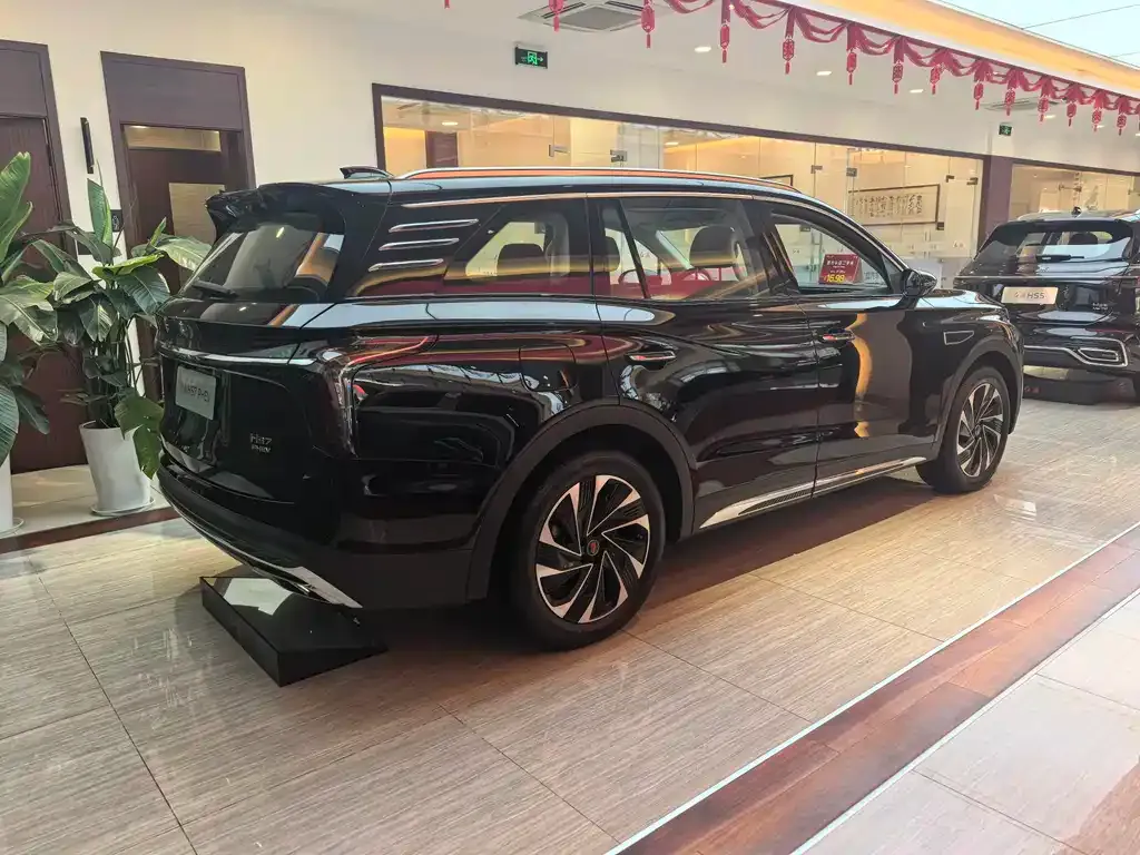 Hongqi HS7 PHEV — фото 7