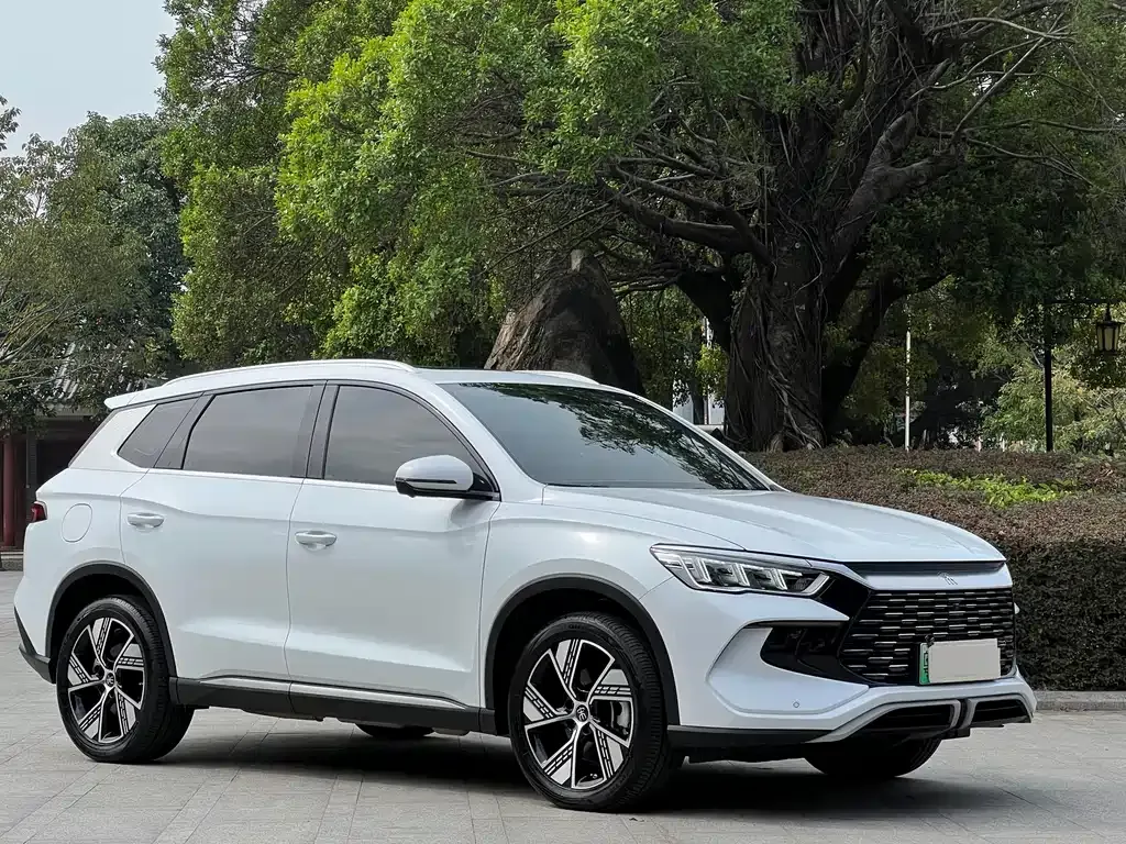BYD Pro New Energy — фото 10