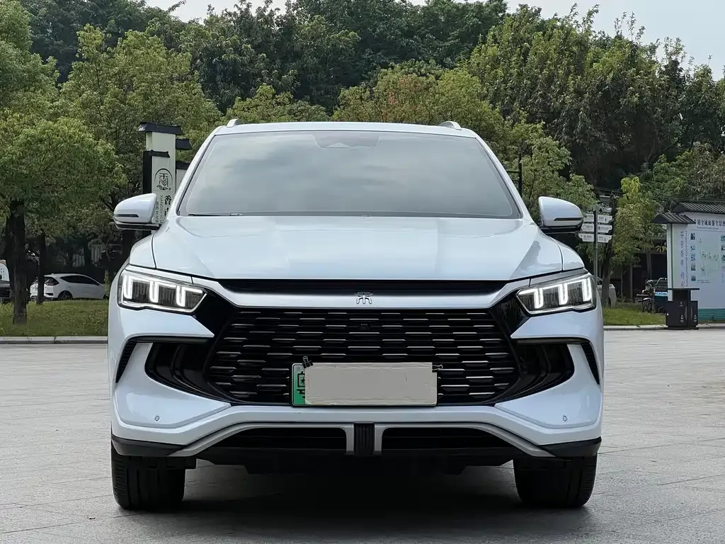 BYD Pro New Energy — фото 6