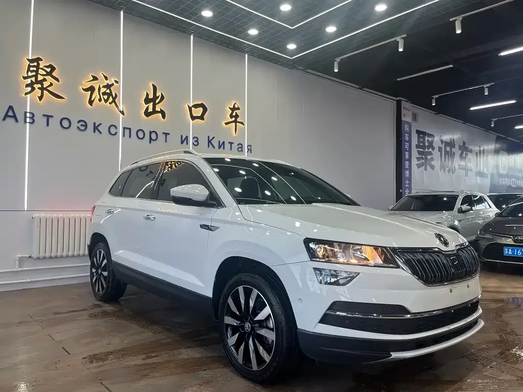 Skoda Karoq — фото 6