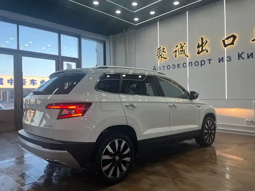 Skoda Karoq — фото 9