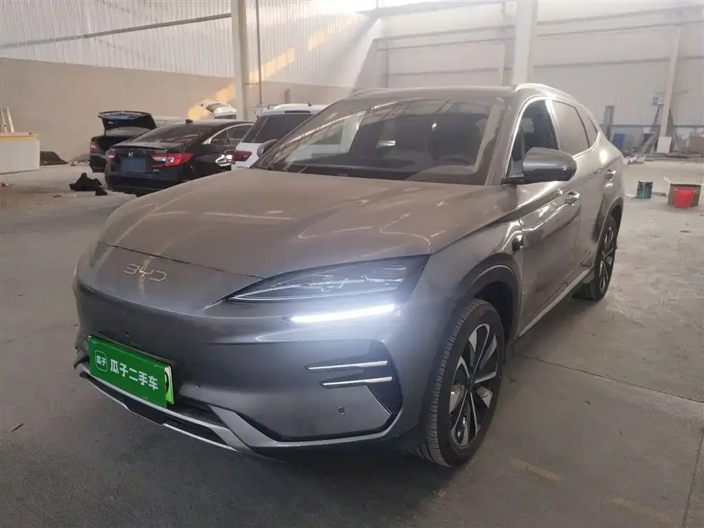 BYD PLUS New Energy — фото 2