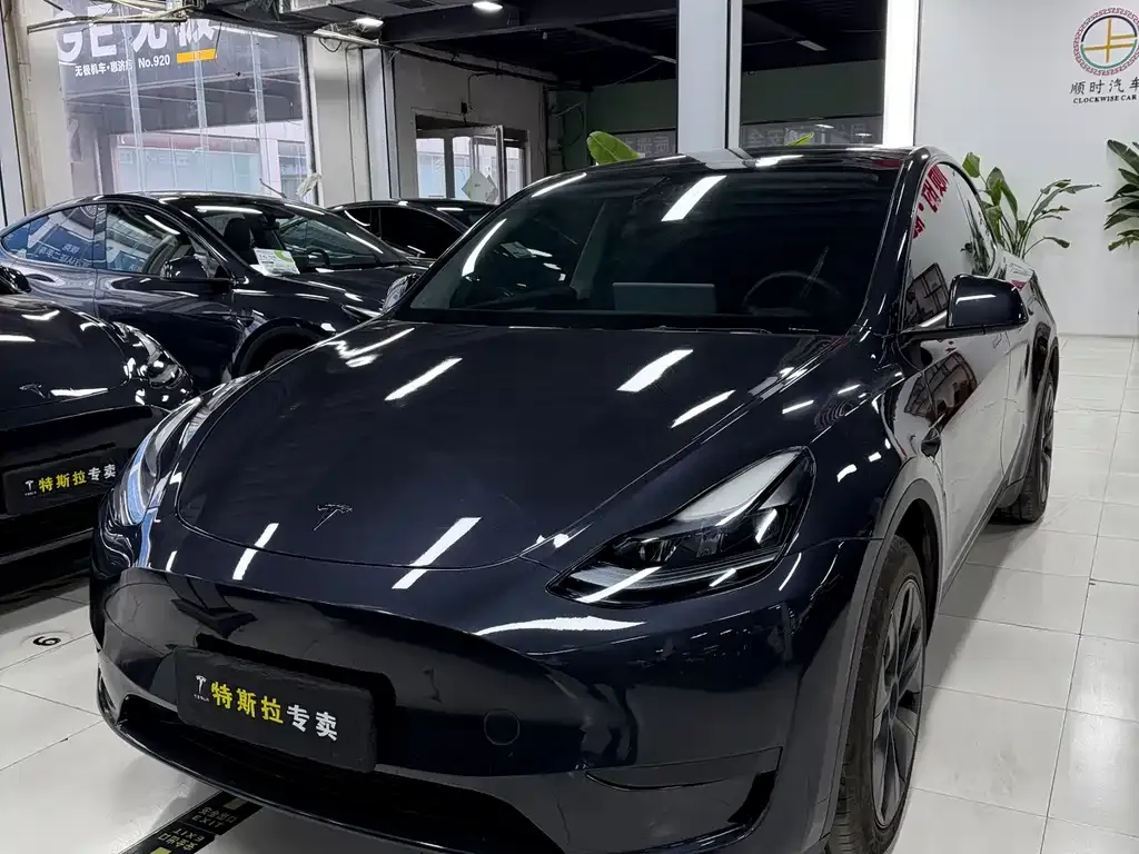 Tesla Model Y — фото 1