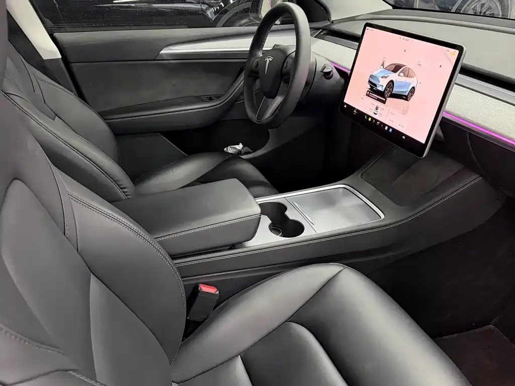 Tesla Model Y — фото 2