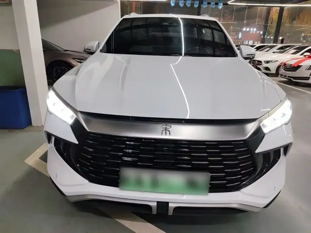 BYD Pro New Energy — фото 9