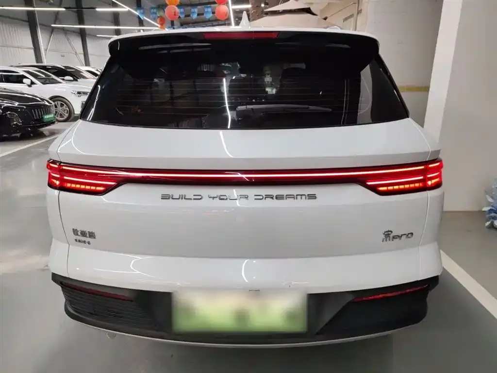 BYD Pro New Energy — фото 8