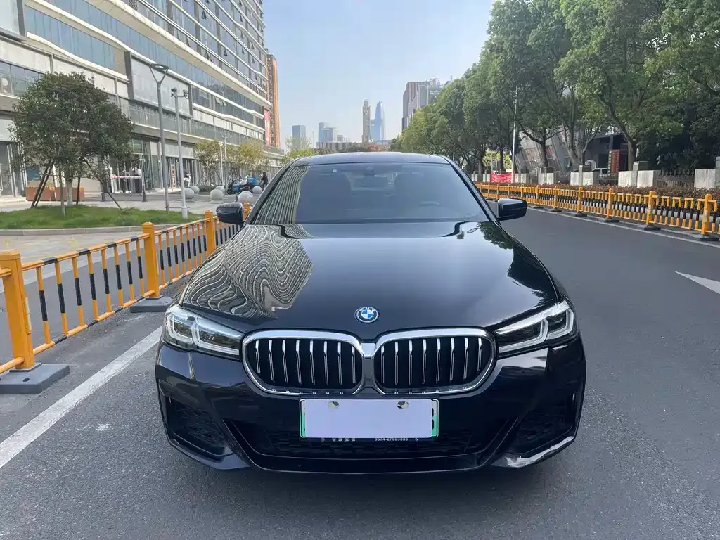 BMW 5 Series New Energy — фото 5