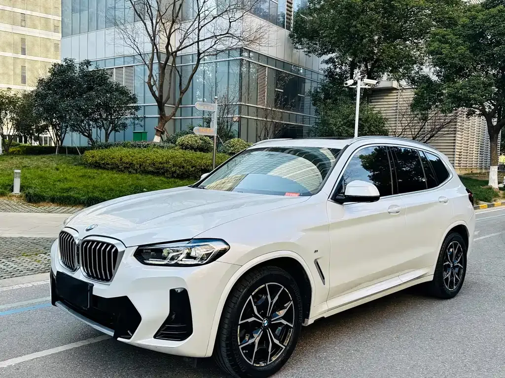 BMW X3 — фото 1