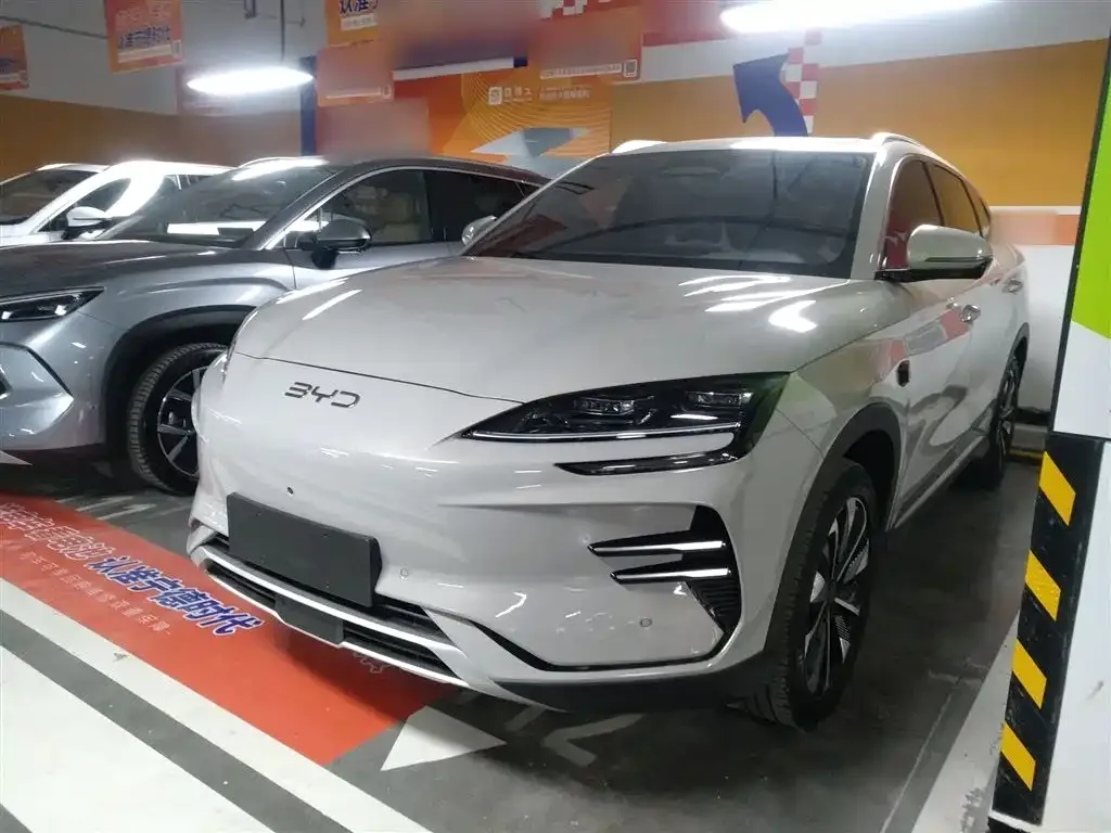 BYD PLUS New Energy — фото 1