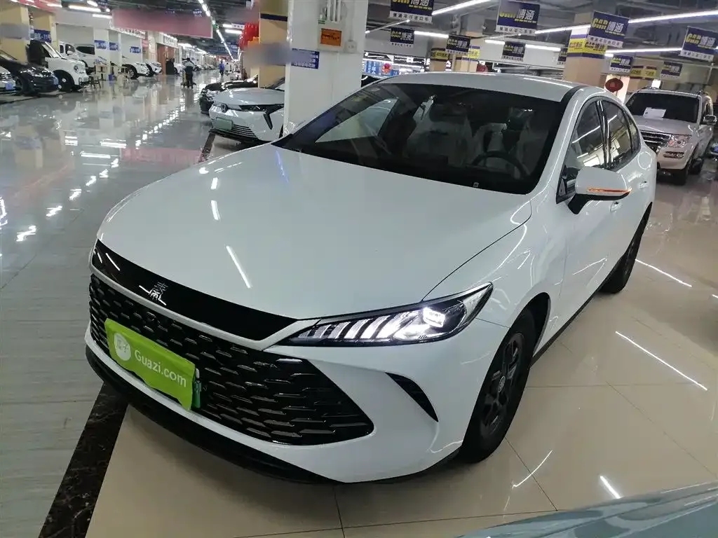 BYD Qin PLUS — фото 2