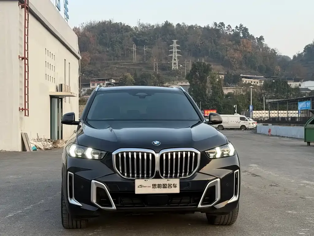 BMW X5 — фото 10