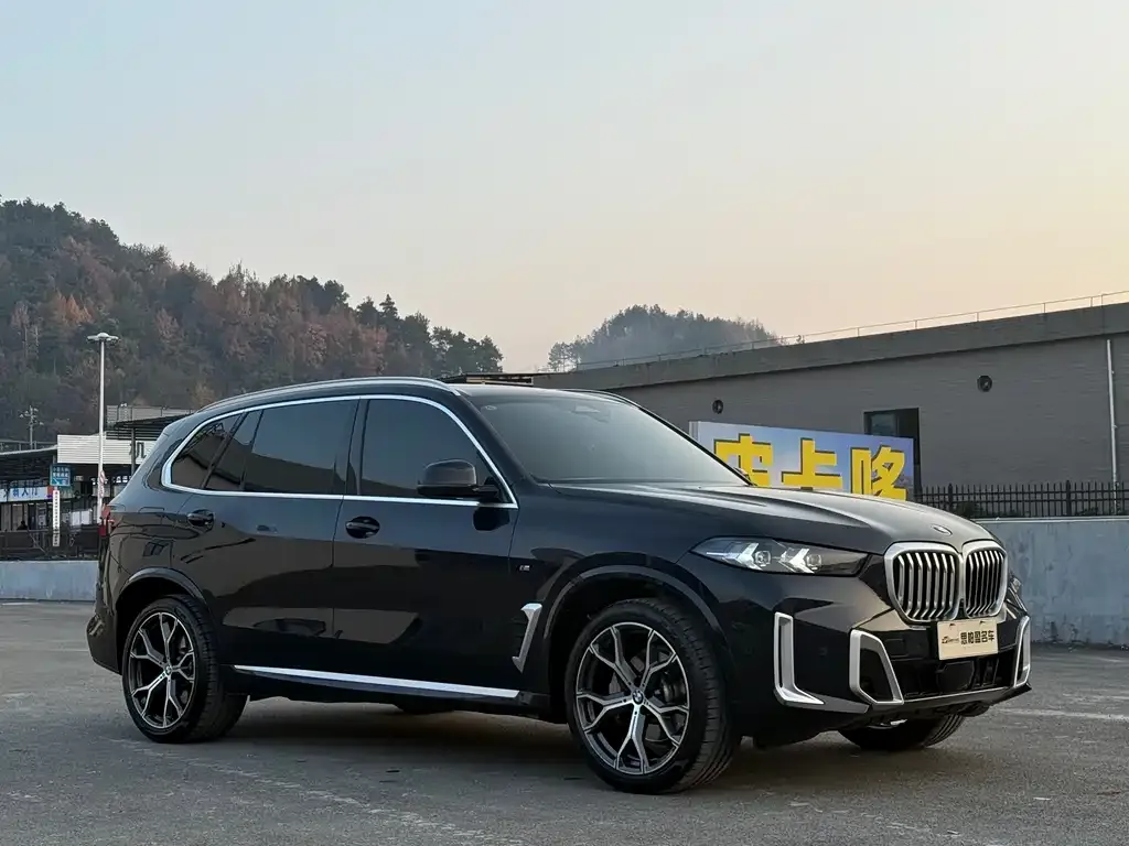 BMW X5 — фото 4