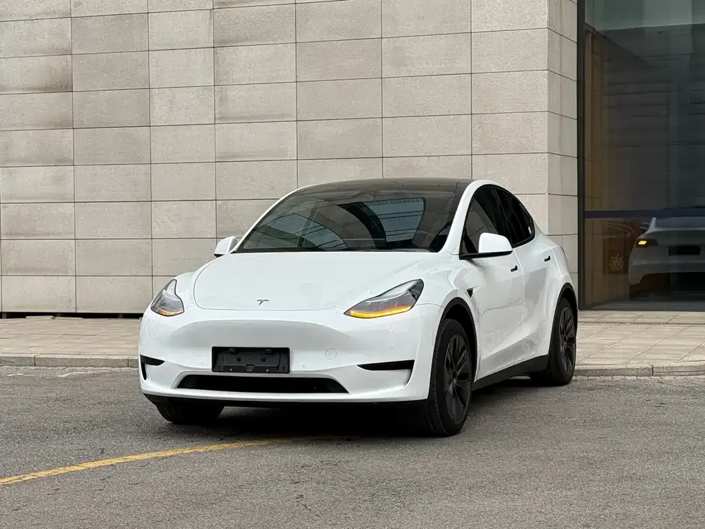 Tesla Model Y — фото 1