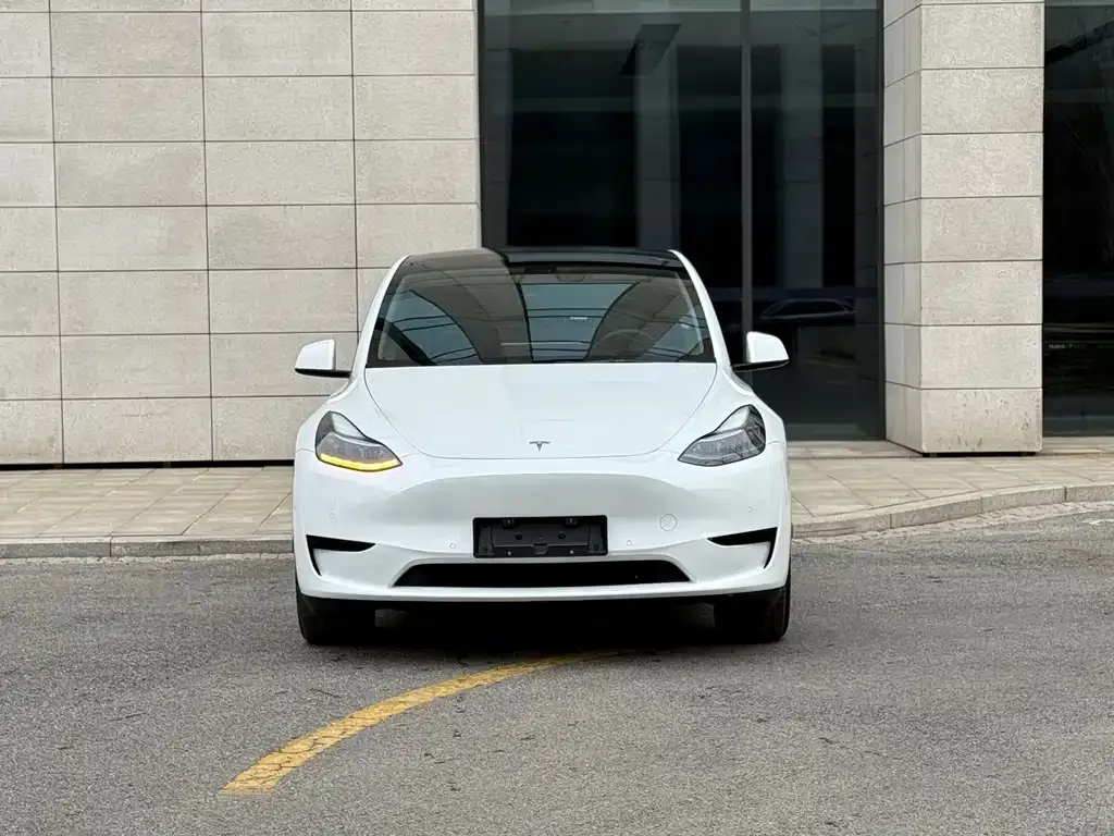 Tesla Model Y — фото 9